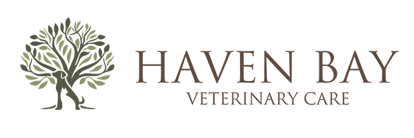 Haven Bay - Veterinary Care