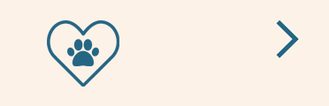 End-of-Life Care